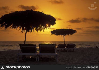 the beach of Anjuna in the Province Goa in India.. ASIA INDIA GOA