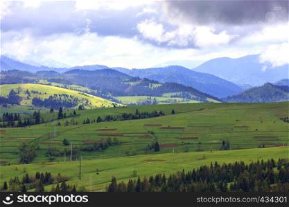 The beautiful and majestic mountain landscape of the Carpathian hills, brown stripes of cultivated land, the slopes of green grassy mountains, tall pines shrouded in mist.. The beautiful and majestic mountain landscape of the Carpathian mountains.