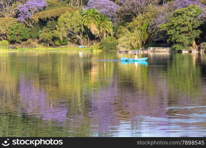 The beautiful Babogaya Lake warmly lit by the rising sun on a clear morning in Debre Zeit, Ethiopia.