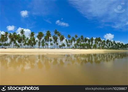 The beautiful beach of Paiva with its coconut trees