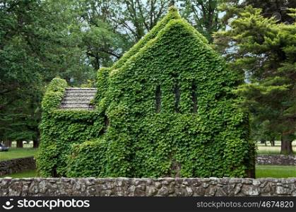 the beautiful gostwyck chapel covered in ivy. gostwyck chapel