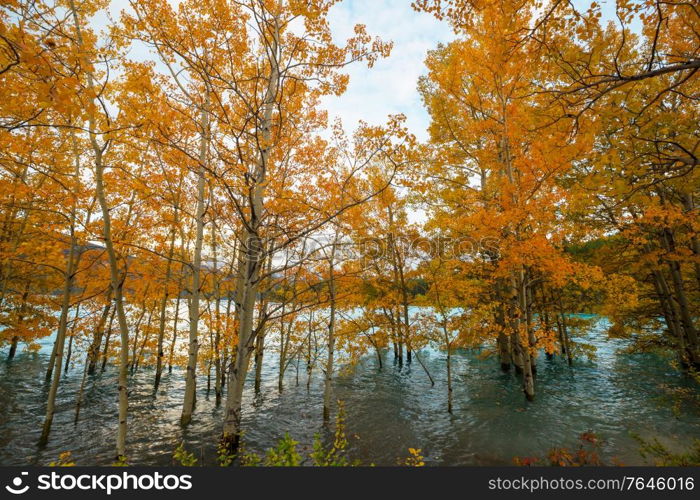 The beautiful lake in Autumn season