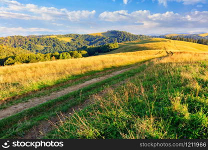 The beautiful landscape of the Carpathians in the morning at dawn and the road that runs along the crest of a mountain hill amid the aroma of wild herbs and flowers is flooded with golden sunlight.. A dirt road passes through the mountain peaks of the Carpathian hills filled with golden light in the morning sun.