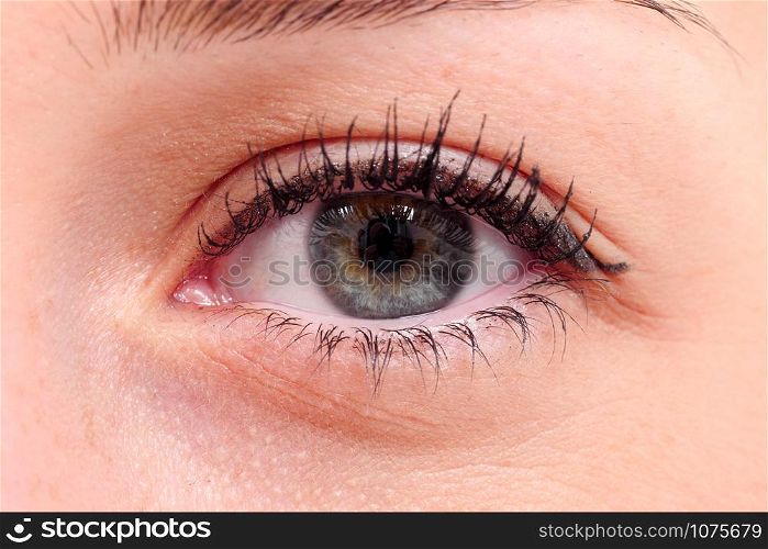 The beautiful macro female eye