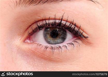 The beautiful macro female eye