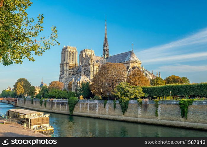 The beautiful Notre Dame de Paris in France at sunrise