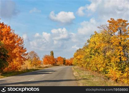 The beauty of autumn. Asphalt road in the autumn alley. Golden autumn maple leaves covering the roadsides. Focus on foreground.. Autumnal orange and yellow foliage of roadside trees flank the old tarmac road.