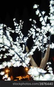 The beauty of tree branches iluminated by Christmas lights decorating the streets of Agueda Portugal.