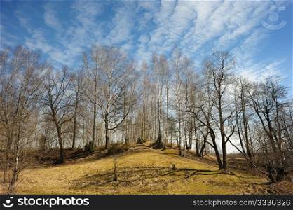 The beginning of spring, landscape with trees on the hill and sky.