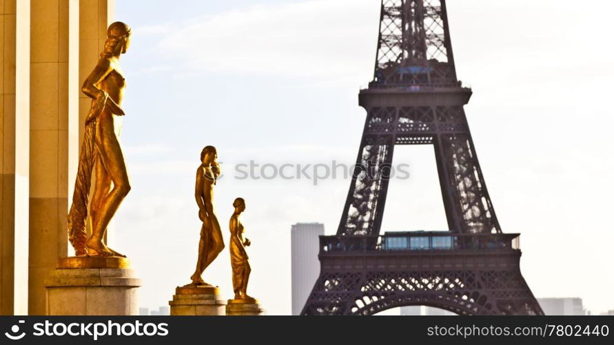 The best place in Paris to have a wonderful view on Eiffel Tower: Trocadero Terrace