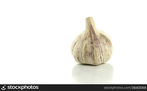 the big french garlic with lot of taste and more spicy then the normal small garlic