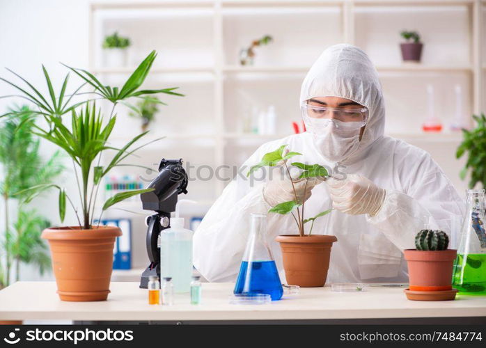 The biotechnology chemist working in lab. Biotechnology chemist working in lab