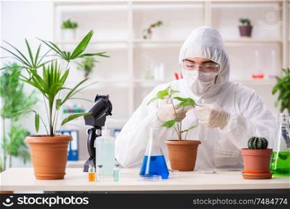The biotechnology chemist working in lab. Biotechnology chemist working in lab