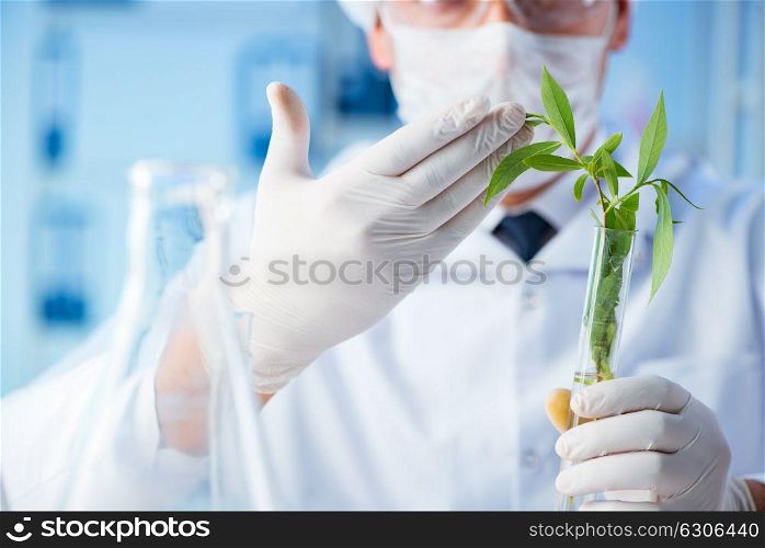 The biotechnology concept with scientist in lab. Biotechnology concept with scientist in lab