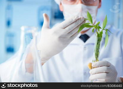 The biotechnology concept with scientist in lab. Biotechnology concept with scientist in lab