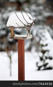 the bird feeder in snowy garden, winter landscape