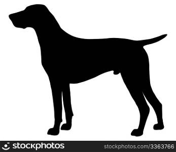 The black silhouette of a German Shorthaired Pointer