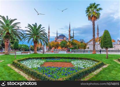 The Blue Mosque and the flower bed in the Sultan Ahmet park, Istanbul,Turkey.. The Blue Mosque and the flower bed in the Sultan Ahmet park, Istanbul,Turkey
