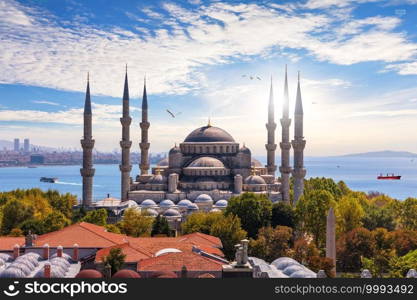 The Blue Mosque of Istanbul or Sultan Ahmet Mosque, Turkey.