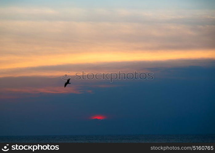 the blurred sun falling down arabian sea ocean in oman coastline