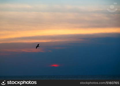 the blurred sun falling down arabian sea ocean in oman coastline