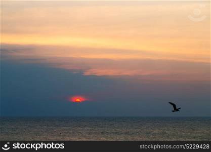 the blurred sun falling down arabian sea ocean in oman coastline