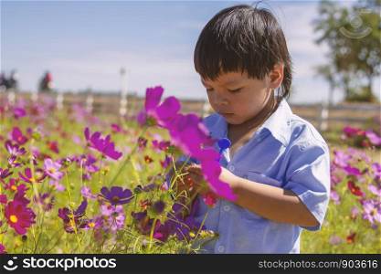 The boy is picking pink flowers.