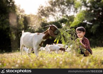 The boy lives in the countryside by raising goats.