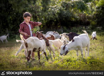 The boy lives in the countryside by raising goats.