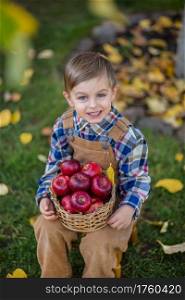 The boy with apples. Autumn composition with pumpkin apples and grapes. Against the background of the autumn garden. The boy with apples. Autumn composition with pumpkin apples and grapes.