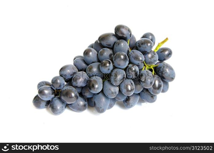 The branch of grapes with water drops