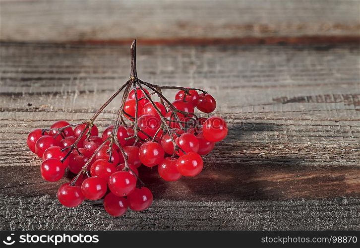 The branch of the viburnum hangs on the edge of the table. One juicy branch of viburnum lies on the edge of the old rustic table.