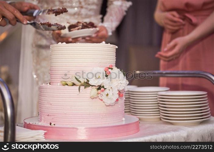 The bride and groom divide the wedding cake into parts for the guests.. The bride and groom are cutting the wedding cake into pieces 4272.