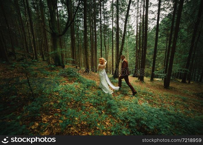 The bride and groom go through the forest hand in hand. Happy bride and groom holding hands and walking in forest on wedding day. The bride and groom go through the forest hand in hand. Happy bride and groom holding hands and walking in forest on wedding day.