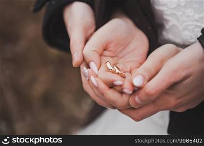 The bride and groom hold wedding gold rings in their palms.. Gold wedding rings on the palms of the bride and groom 2661.