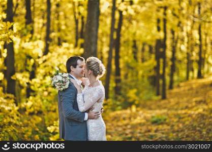 The bride and groom on the background of the brightly lit Golden autumn forest.. Portrait of the newlyweds in sunlit autumn woods 256.