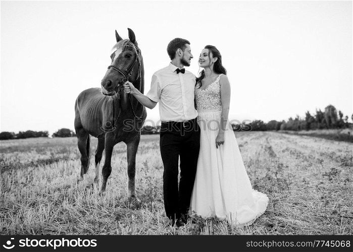the bride in a white dress and the groom in a white shirt on a walk with brown horses