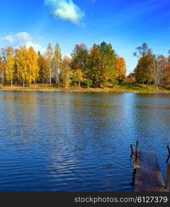 The bright autumn wood is reflected in the lake