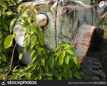 The broken off-road vehicles are covered with vines