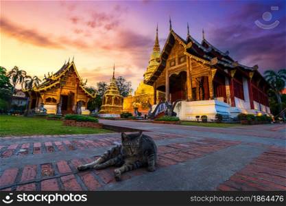 The brown cat&rsquo;s in Wat Phra Singh is a Buddhist temple is a major tourist attraction in Chiang Mai Northern Thailand at twilight sunset sky background ,Travels in Southeast Asia,is Public places