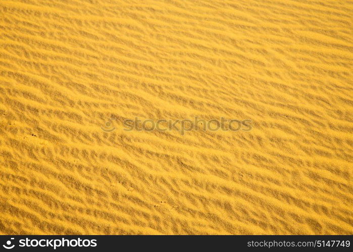 the brown sand dune in the sahara morocco desert