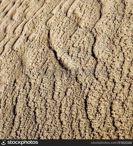 the brown sand dune in the sahara morocco desert