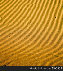 the brown sand dune in the sahara morocco desert