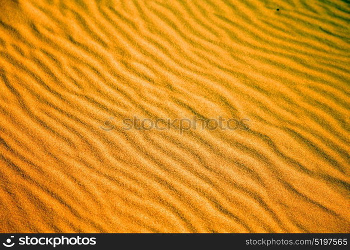 the brown sand dune in the sahara morocco desert