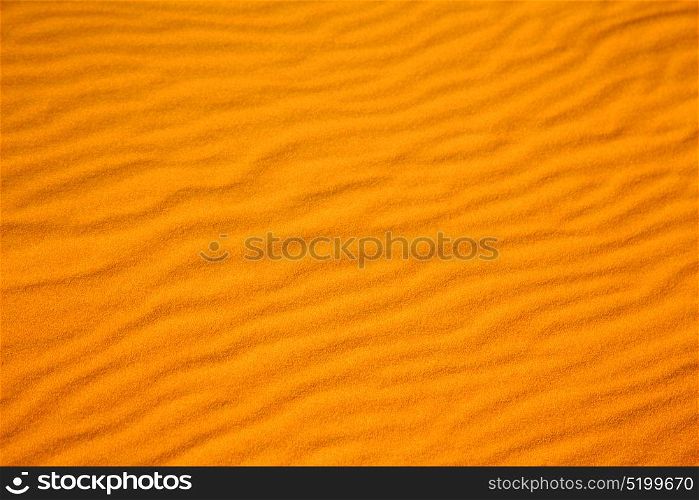 the brown sand dune in the sahara morocco desert