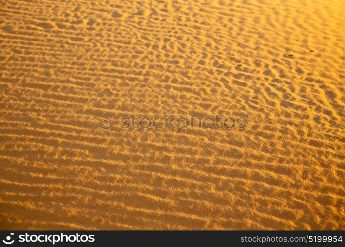 the brown sand dune in the sahara morocco desert