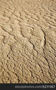 the brown sand dune in the sahara morocco desert