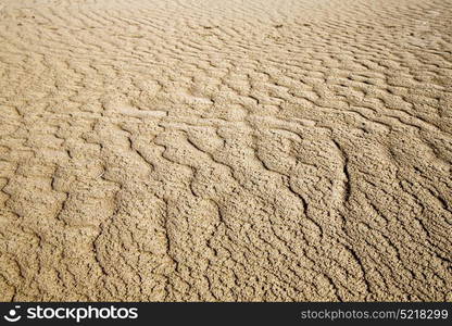 the brown sand dune in the sahara morocco desert