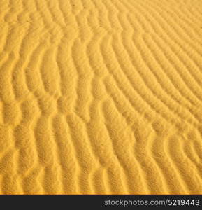 the brown sand dune in the sahara morocco desert