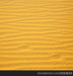 the brown sand dune in the sahara morocco desert